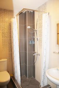 乌雷基Apartment near the Black Sea Ureki的带淋浴、卫生间和盥洗盆的浴室