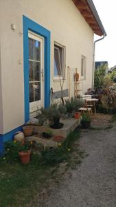 WittlingenFanny的一座有蓝色门和一些盆栽植物的房子