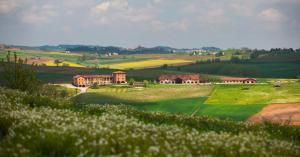 MontemagnoTenuta Montemagno Relais & Wines的草丛中的房子