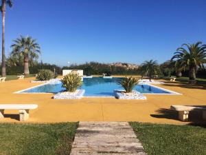 奥利瓦Oliva Nova Casas del Mar的公园内种有棕榈树的大型游泳池