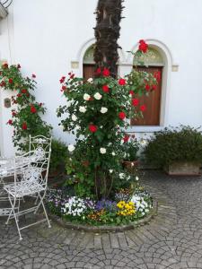 波图格鲁洛阿尔伯格梅里迪娜酒店的建筑物前的椅子和鲜花