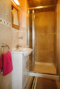 伦维尔Seabreeze Junior Suite Renvyle的一间带水槽和淋浴的浴室