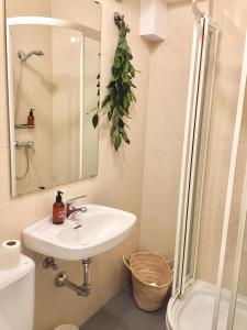 维戈拉尔艾特兰提卡旅馆的一间带水槽和淋浴的浴室