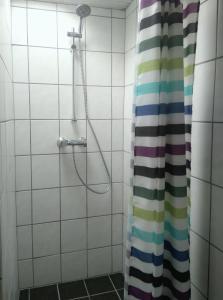 盖瑟Room In Gedser Centrum的带淋浴和浴帘的浴室