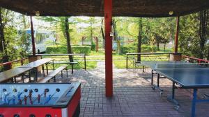 埃尔布隆格NR 61号露营酒店的公园里的一组乒乓球桌