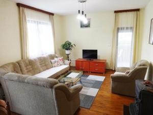 科雷尼察Apartment Sky的带沙发和电视的客厅