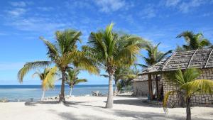 Andavadoaka拉古娜布鲁 - 马达加斯加度假酒店的棕榈树海滩和建筑