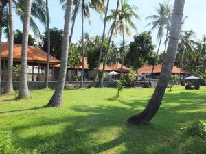 特贾库拉阿姆瑞塔盐田别墅旅馆的一群棕榈树在一座建筑前