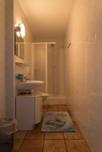 洛索内欧特洛与黎博索露营旅舍的一间带水槽和淋浴的浴室
