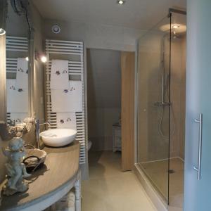 图尔奈La Roseraie的一间带水槽和淋浴的浴室