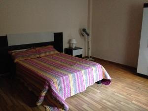 梅塞德斯Apartamento en el centro de mercedes URUGUAY的一间卧室配有带条纹毯子的床