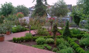 梅尔齐希Ratsstube Blasius的种满了植物和花卉的花园