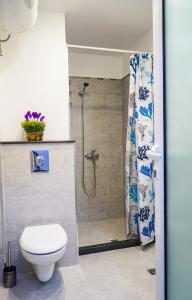 茨雷沃Studios Grace - Port Tsarevo的一间带卫生间和淋浴的浴室