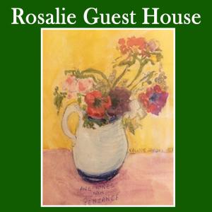 彭赞斯Rosalie Guest House的花瓶上的花画