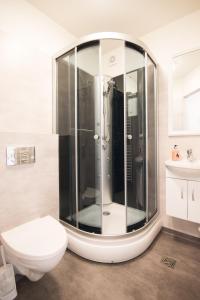 格林达维克Guesthouse Grund的一间带玻璃淋浴和卫生间的浴室