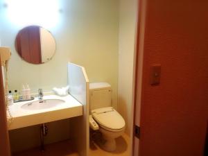 大阪马加达酒店（仅限成人）的一间带卫生间、水槽和镜子的浴室