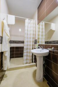 托木斯克Hotel Galereya的一间带水槽和淋浴的浴室