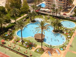 库列拉Florazar de Ensueño的享有棕榈树大型游泳池的顶部景致