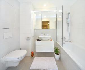 什平德莱鲁夫姆林Suites and Apartments Medvědín的浴室配有卫生间、盥洗盆和淋浴。