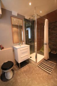 奥尔良乐尼博德罗勒公寓的带淋浴、卫生间和盥洗盆的浴室
