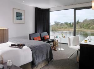 巴利纳艾斯豪斯酒店的酒店客房设有一张床,享有河景