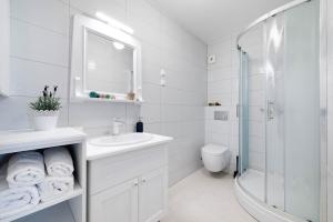 希贝尼克里亚托画廊公寓的白色的浴室设有水槽和淋浴。