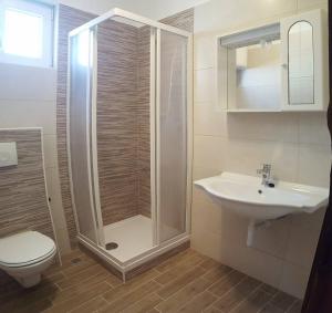 帕科坦Apartments Petar Maksan的带淋浴、卫生间和盥洗盆的浴室