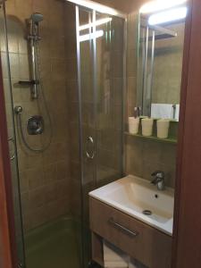 萨尔巴赫塔克萨公寓的带淋浴和盥洗盆的浴室