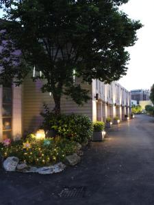 新竹新竹月圆Motel 的一条有树的街道和一座有灯的建筑