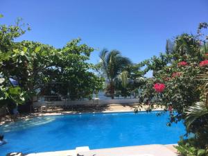 Libertad乌考海滩度假酒店的一座种植了树木和粉红色花卉的大型蓝色游泳池