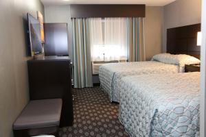 埃尔姆伍德帕克埃尔姆伍德红地毯旅店的酒店客房设有两张床和窗户。
