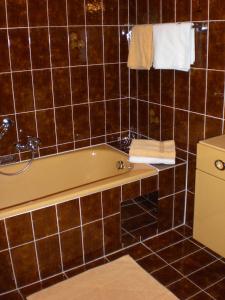 贝旺丽塔豪斯酒店的带浴缸和卫生间的浴室。