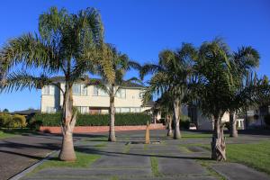 新普利茅斯加冕礼庭院汽车旅馆的楼前一排棕榈树