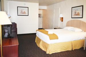佩吉Knights Inn Page的酒店客房设有一张大床和一台电视。