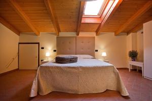 卢卡Tenuta San Giovanni Lucca的一间卧室配有一张床和天窗