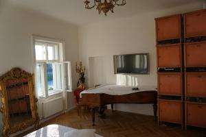 萨尔茨堡Sarah's Altstadt Oase Salzburg的卧室配有一张床,墙上配有电视。