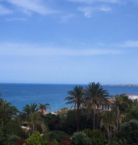 克罗托内Il Grecale case vacanza的享有海洋和棕榈树的景致