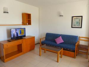 拉皮内达Aromar Rentalmar的客厅配有蓝色的沙发和电视