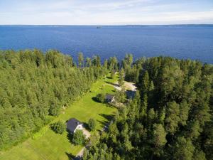 拉帕湖Lomakylä Tapiola的湖岸房屋的空中景观
