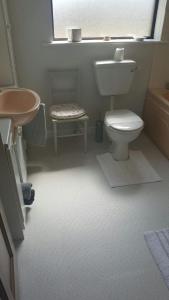 斯莱戈Avondale的一间带卫生间、水槽和窗户的浴室