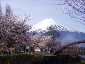 富士河口湖克玛雅旅馆的相册照片