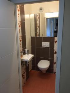 ApachAppartement des trois frontières的一间带卫生间、水槽和镜子的浴室