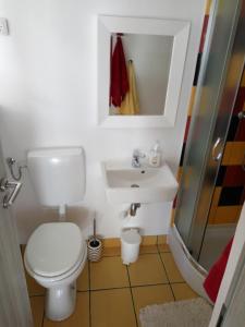 波斯托伊纳Tiny house with a big heart的浴室配有卫生间、盥洗盆和淋浴。