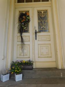 姆拉代布基Mladé Buky 261的前面有两朵花的白色门