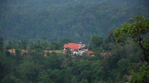 马迪凯里Abiyal Mountain Stay的森林中间有红色屋顶的房子