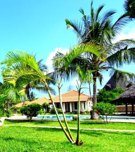 迪亚尼海滩Doric Cottages Diani的房子前面的几棵棕榈树