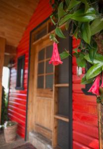 巴拉斯港Weisserhaus的红色的房子,有红色的门和一些花