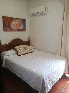 埃尔卡沃德加塔Hotel las Salinas的一间卧室配有带枕头的床和空调