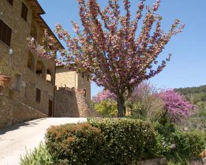 卡斯特姆苏La Chiusa dei Monaci的一座建筑物旁一棵有粉红色花的树