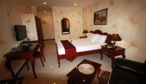 安吉利斯阿姆斯特丹皇家酒店的一间卧室配有一张床、一张书桌和一台电视